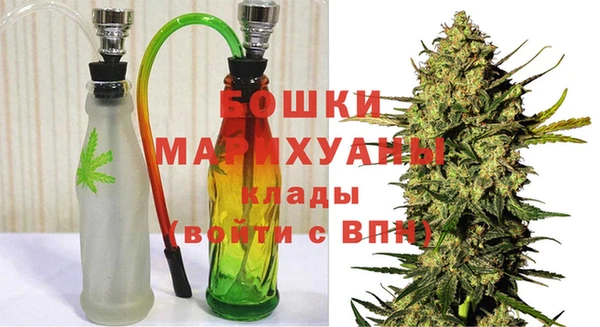 сатива Липки