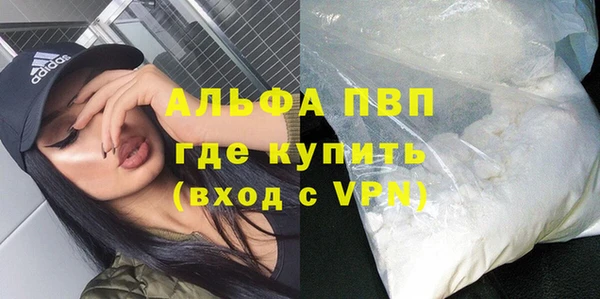сатива Липки